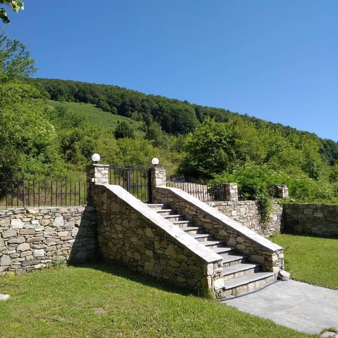 Guesthouse Kontogianni - Materka Nymfaio Exterior foto